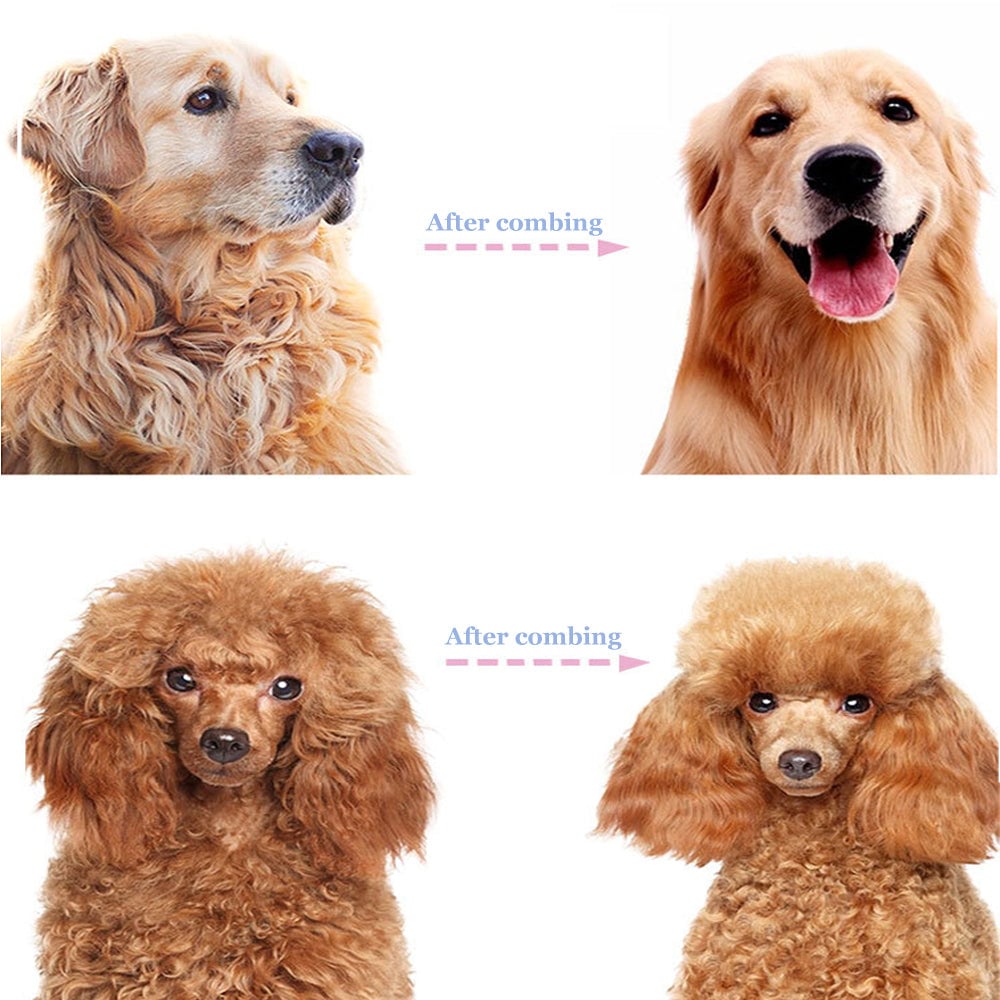 Professional Deshedding Tool For Dogs And Cats