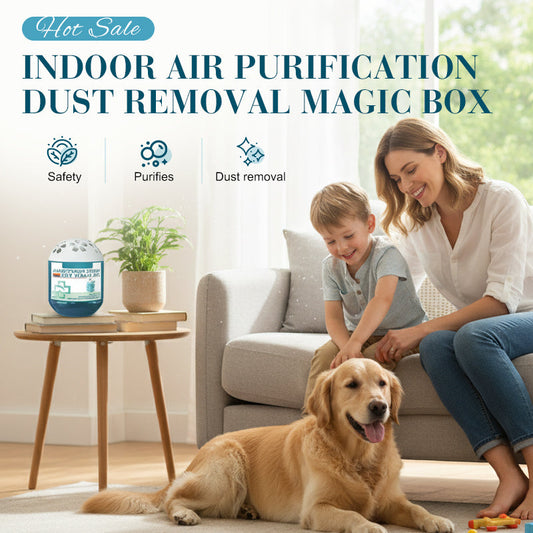 ⏳Limited-time 50% off⏰Indoor Air Purification Dust Removal Magic Box🏠🌿