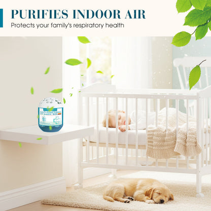 ⏳Limited-time 50% off⏰Indoor Air Purification Dust Removal Magic Box🏠🌿
